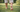 What Does 'Barefoot' Really Mean?